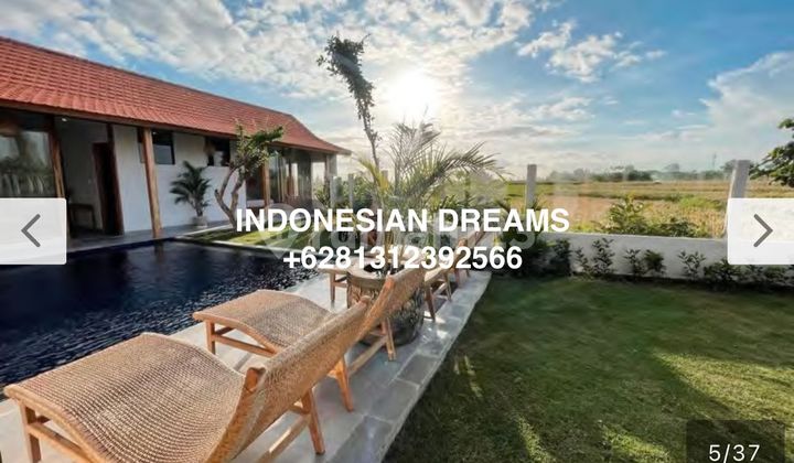 VILLA 3 Bedrooms SESEH SUNSET RICE FIELD VIEW VILLA 3 Bedrooms SESEH SUNSET RICE FIELD VIEW