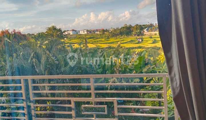 Big 3 Bedrooms Villa In Kerobokan Paddies View 2
