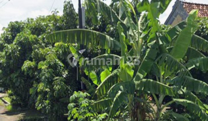 Land for Sale on Garuda Street, Pare Kediri, Near Kampung Inggris