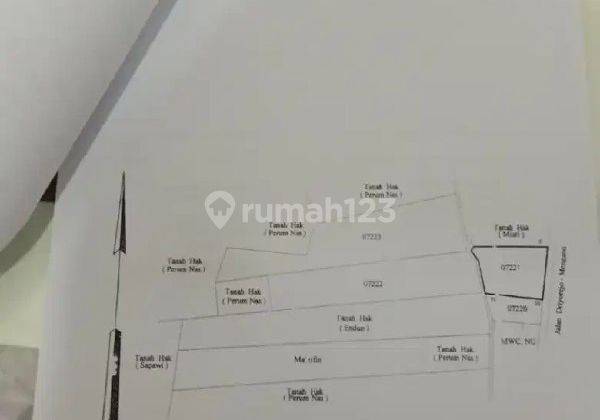 DIJUAL TANAH LOKASI STRATEGIS RAYA PETIKAN DRIYOREJO GRESIK 2