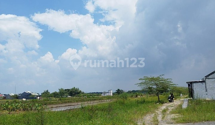 Bringkang Land Kedamean Gresik Bringkang Land Kedamean Gresik