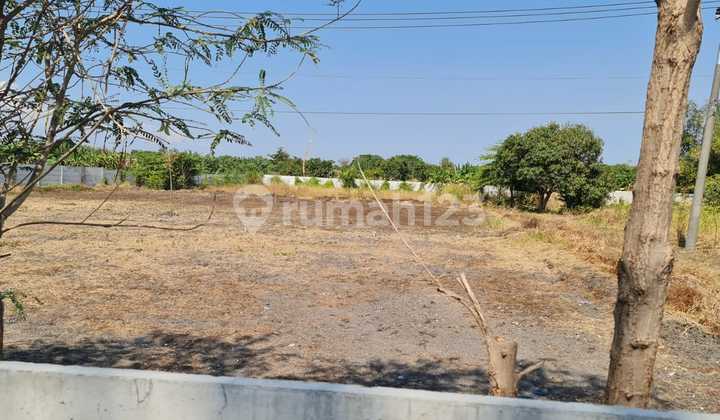 Tanah Cerme Gresik Jual Cepat Dekat Exit Tol