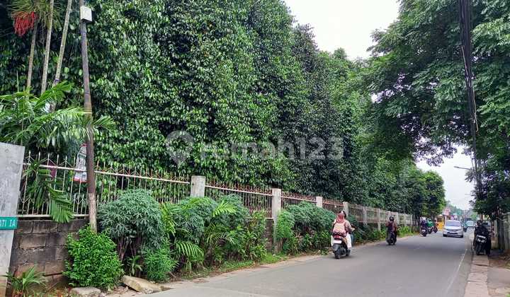 Kavling Besar di Jalan Merpati Sawah Lama Ciputat 
