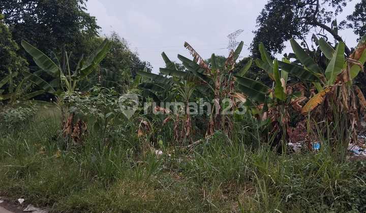 Kavling Besar di Serua Ciputat Tangsel Cocok untuk Cluster