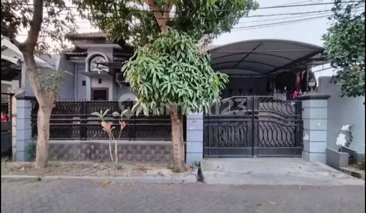 Ready-to-Live Murh Puri Lidah Kulon Indah Near Wiyung Citraland 1