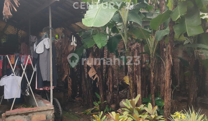 Dijual Murah Rumah Tua Hitung Tanah Percetakan Negara, Jakpus 2
