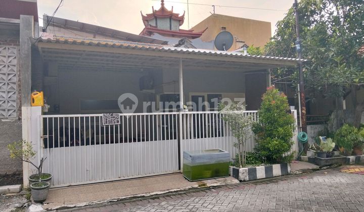 Jual Sangat Murah Rumah Minimalis Siap Huni Bagus Di Pandugo, Dekat Raya Pandugo, Raya Merr, Upn, Stikom, Rungkut Asri Surabaya