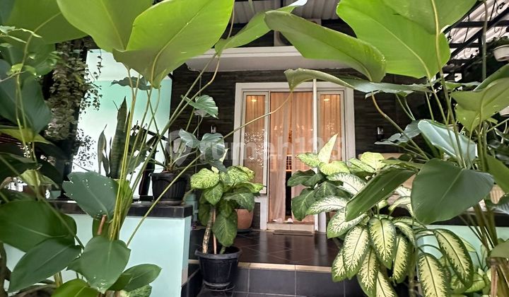 Rumah Nego Sampai Deal Posisi Hook Aquamarine Phg Gading Serpong