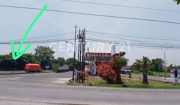 Tanah Kendal Pinggir Jalan Raya Siap Pakai 2