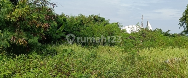 Tanah Luas 2 Hektar di Semarang | Cocok untuk Usaha & Komersial 2