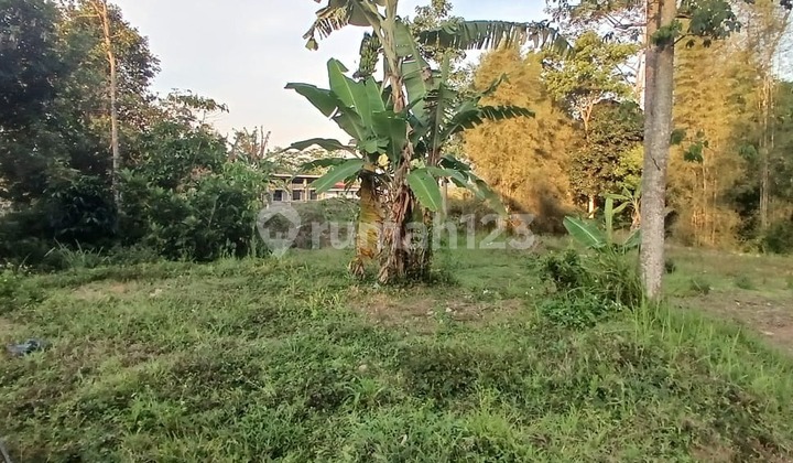 Tanah Ngantong Arjosari Cocok Villa Rumah Siap Bangun