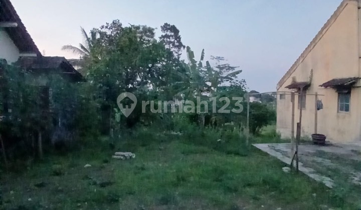 Tanah Patimura Cocok Untuk Perumahan 20 Sampai 30 Unit