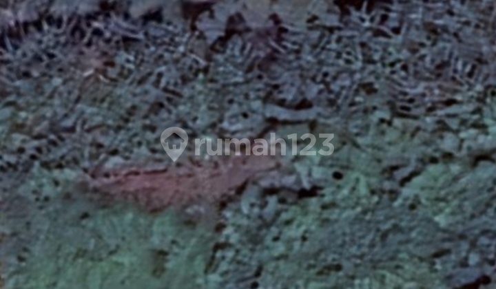 Tanah Luas 3Hektar di Semarang | Cocok untuk Usaha & Komersial 2