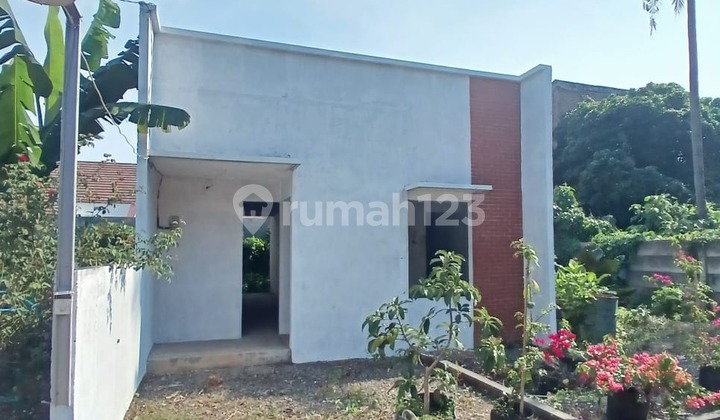 Rumah 1 Lantai Ngesrep Barat Hampir Jadi Bangunan Masih Ok 1