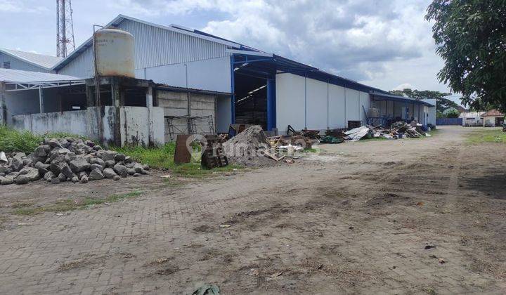 Jual Rugi muraah bgt Gudang Gresik Benjeng ex Printing plastik 1