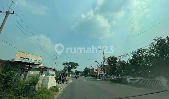 Lahan Industri Zona Merah Cck Utk Pabrik Industri Sawah Kering Lahan Industri Zona Merah Cck Utk Pabrik Industri Sawah Kering