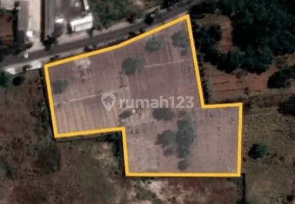 Tanah di Jl.lawas Brondong, Lamongan SHM 10.255 m² 2