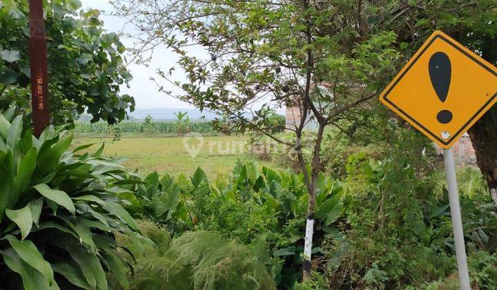 Tanah dijual di Jalan Raya Purwodadi 1