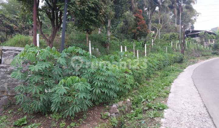 Tanah 2.200 m² Jl. Sindang sari Ciwidey Murah ada Mata air Tanah 2.200 m² Jl. Sindang sari Ciwidey Murah ada Mata air