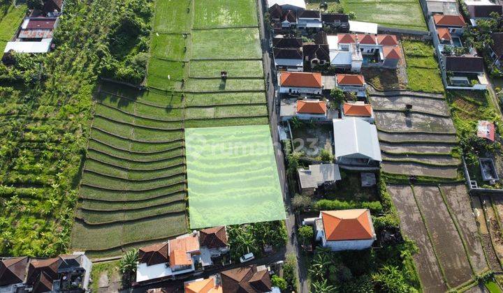 Ek 092 For Rent Tanah Komersial di Canggu Badung Bali 2