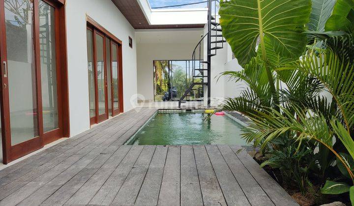 Bl 174 For Rent Peacfull Minimalish Modern Style Villa Ricefield View Located Oj Tabanan  1