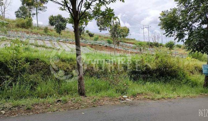 Tahan Tahan Yuk Ah Beli Tanah Super Luas Di Punclut Ciumbuleuit Atas Lembang Bandung Barat 2