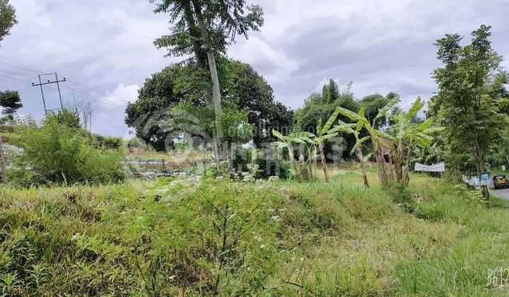 Tahan Tahan Yuk Ah Beli Tanah Super Luas Di Punclut Ciumbuleuit Atas Lembang Bandung Barat 1