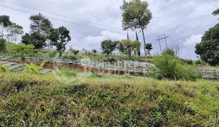 Tahan Tahan Yuk Ah Beli Tanah Super Luas Di Punclut Ciumbuleuit Atas Lembang Bandung Barat 3