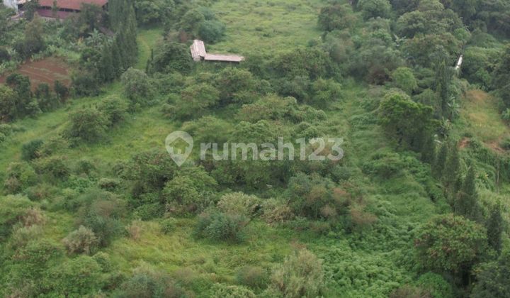 Lahan Strategis Dibawah Harga Pasar di pinggir jalan Cisarua Puncak Lahan Strategis Dibawah Harga Pasar di pinggir jalan Cisarua Puncak