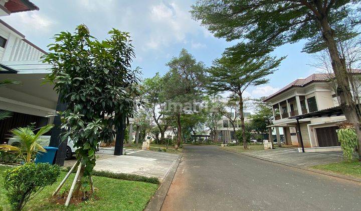 Dijual Full Furnished Ada Pool Cantik Rumah Mewah Sutera Jingga Alam Sutera Rumah Langka 4