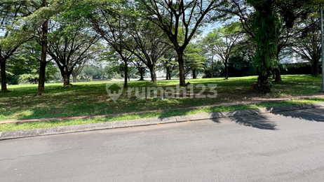 VERY RARE! BLUE LAKE MAIN SILK - ALAM SUTERA