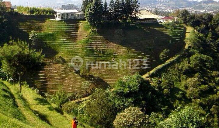 DIJUAL TANAH DI LEMBANG BANDUNG VIEW LANGSUNG KE GUNUNG