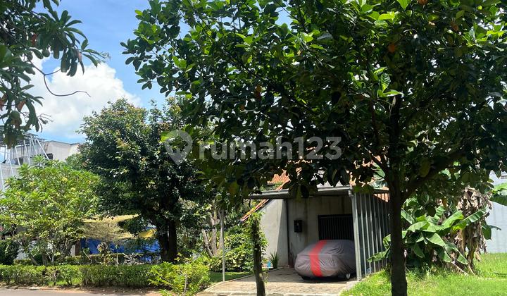 Cuma 10 Juta Palin Murah Se Alam Sutera!Kavling di Sutera Feronia Harmoni Jelita Alam Sutera 2