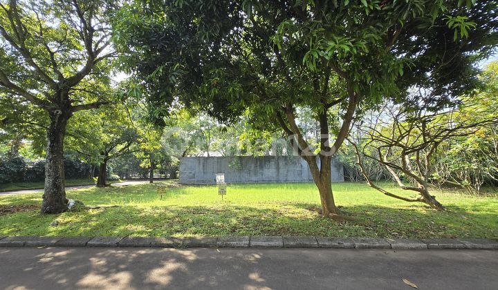 FOR SALE LOWEST PRICE REDUCTION!!! BUANA ALAM SUTERA PLOT FOR SALE LOWEST PRICE REDUCTION!!! BUANA ALAM SUTERA PLOT