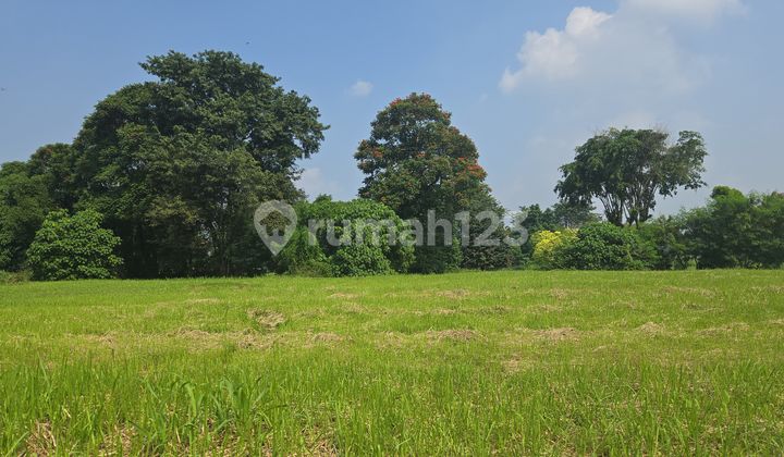 Price Drop! Cheapest Golf View! Paramount Hill Golf Lot Price Drop! Cheapest Golf View! Paramount Hill Golf Lot