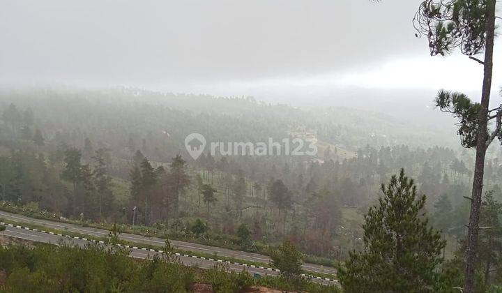 Dijual tanah dekat bandara pong tiku mangkendek tana toraja 1