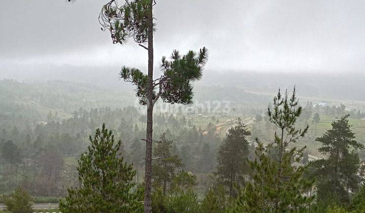 Dijual tanah dekat bandara pong tiku mangkendek tana toraja 2