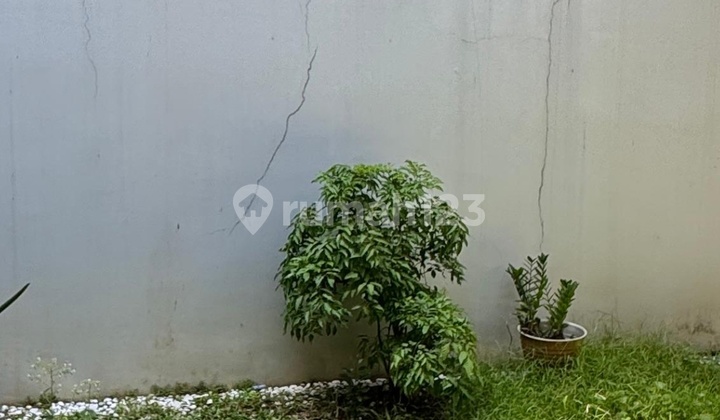 Rumahsewa Cbd Aman,nyaman,bebasbanjir 2