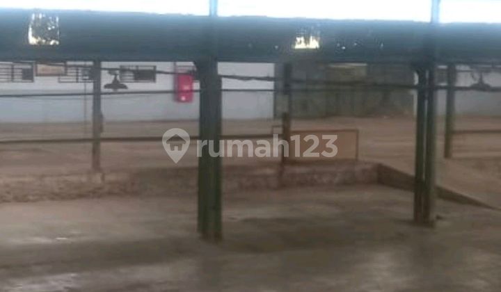 Cheap, Safe, Comfortable Warehouse Cheap, Safe, Comfortable Warehouse