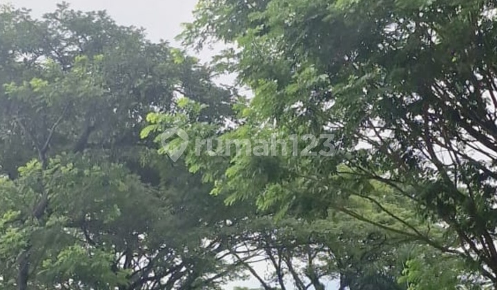 Land ready to build, strategic, flood-free