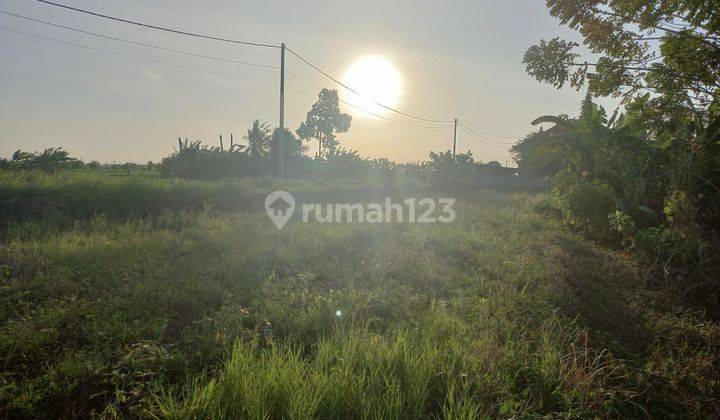 Tanah di Trenggana Denpasar timur 1