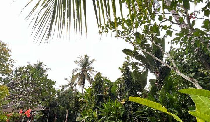 Hotel di Kuta Mandalika 9