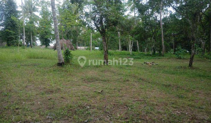 Tanah beach front di Mertak lombok tengah 2