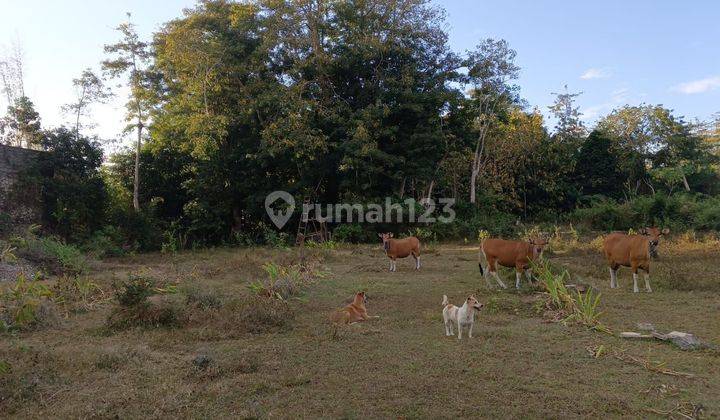 Land for rent in Ungasan Badung 1