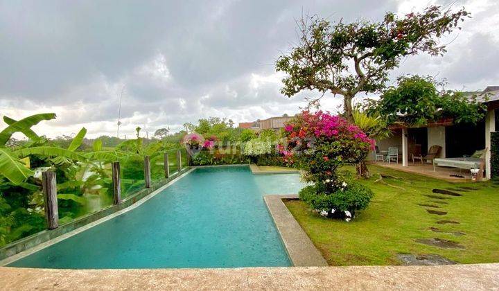 Nice Villa For Lease At Berawa Canggu 1