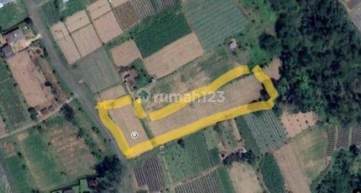 Land For Sale at Baturiti Tabanan 2