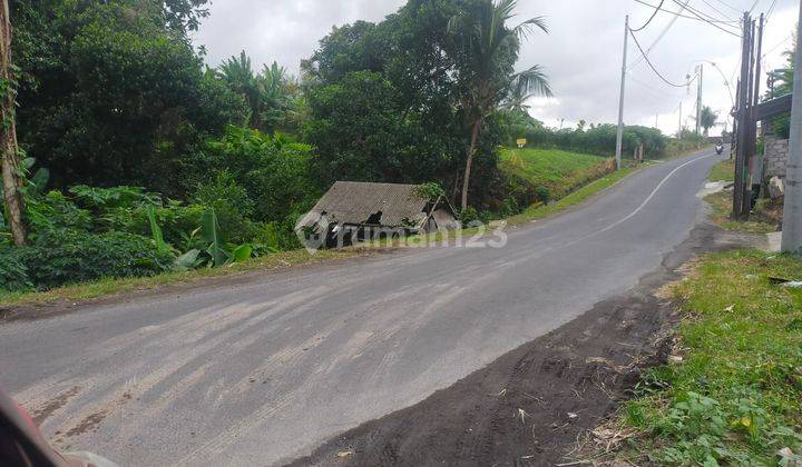 Land For Sale at Kedungu Tabanan 1