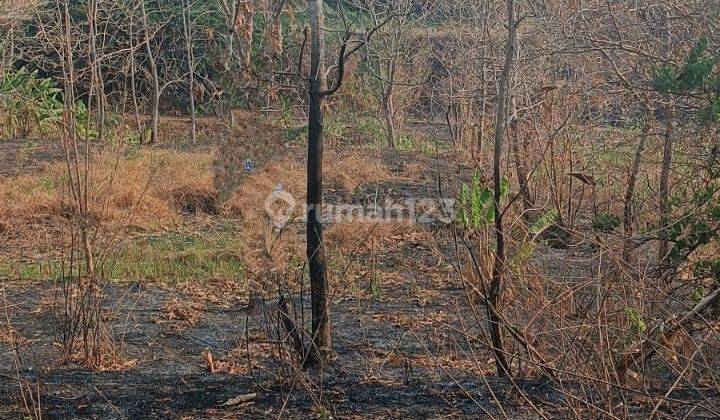 Dijual Tanah Dekat Gate Tol Klbm Kedamean Citraland Kedamean 2