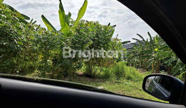 Tanah cocok untuk di bangun rumah baru 2