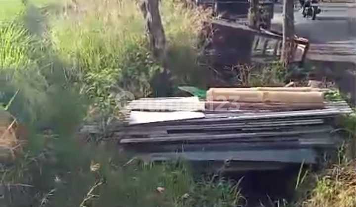 Tanah Jual Lokasi Munggu Tanah Jual Lokasi Munggu